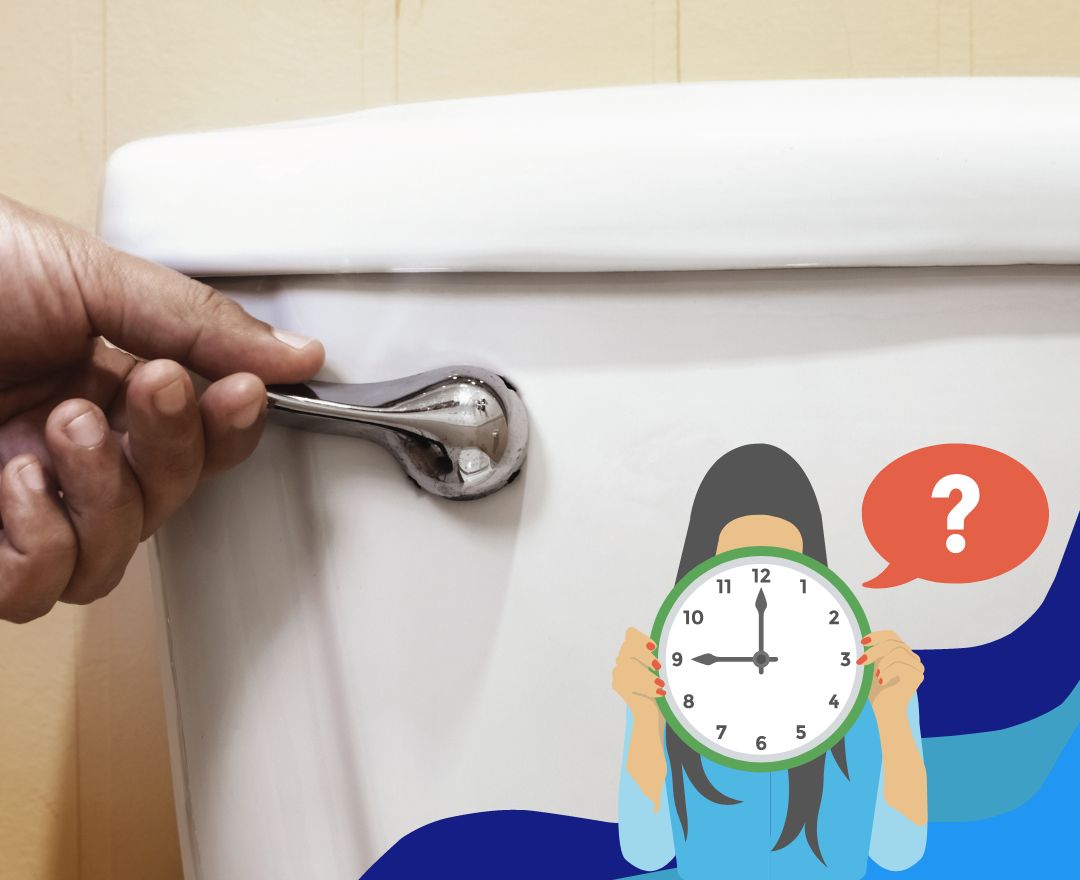 Is it OK to Not Flush The Toilet Every Time?